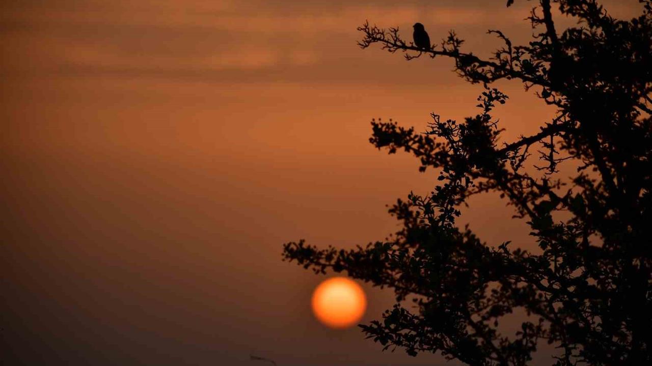 Samsun Kuş Cenneti'nde Sonbahar Güzellikleri Ziyaretçileri Ağırlıyor