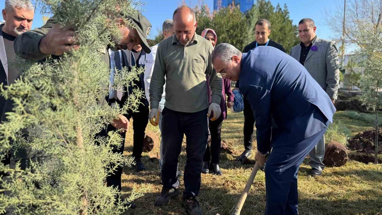 Diyarbakır Gazi Yaşargil Hastanesi'nde Dünya Prematüre Günü Etkinliği Düzenlendi