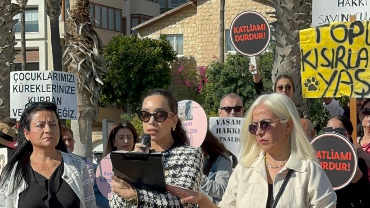 Mersin Barosu Açıklama Yaptı: "köpekler Hızla ve Usulsüz Toplanıyor"