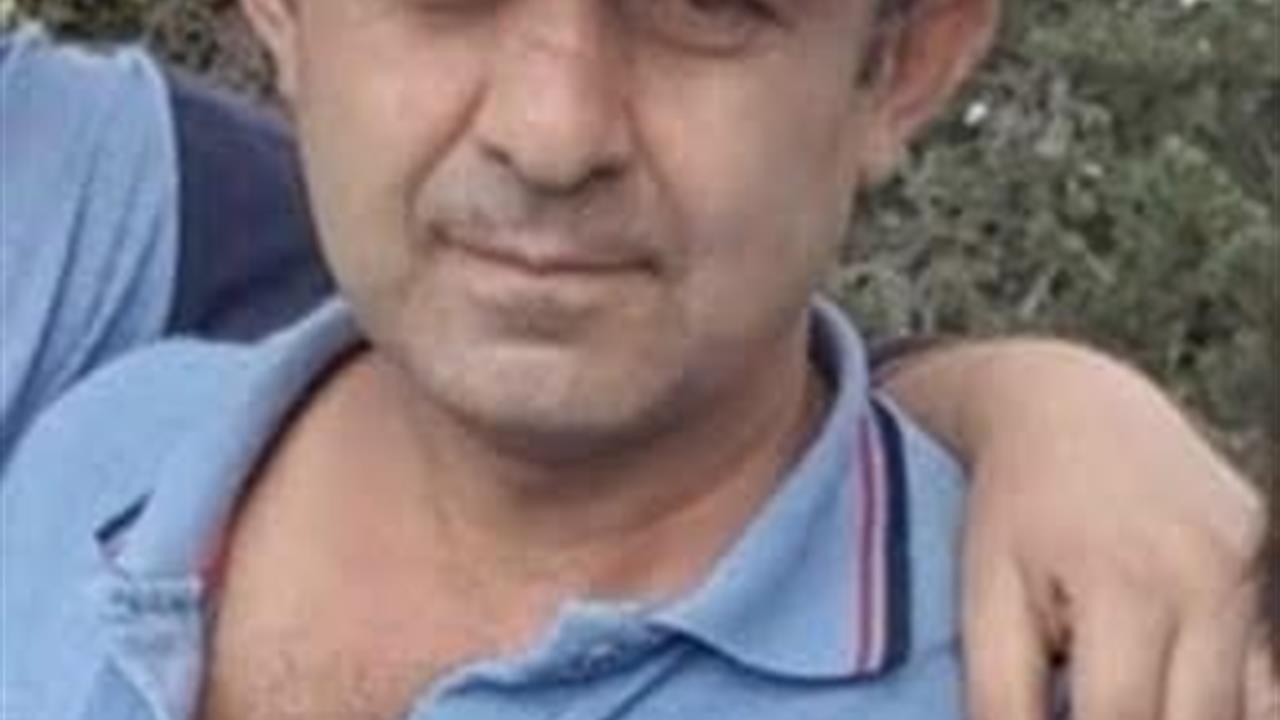 Bolu Yaka Fındıcak Köyü'nde Ağaç Altında Kalan Seyid Ahmet Özay Hayatını Kaybetti