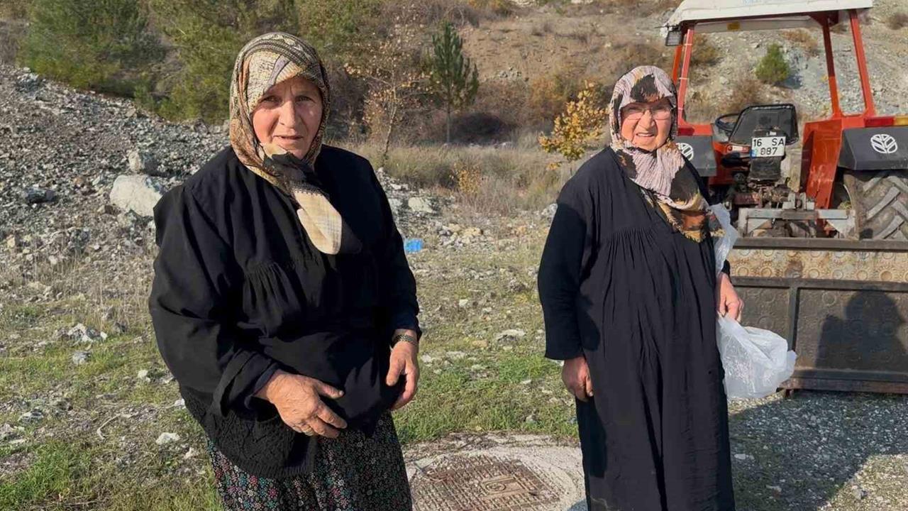 Bursa'da İki Yaşlı Kadın, Mantar Toplayarak Ekonomi Sağlıyor