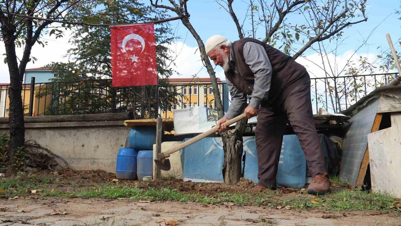 Eskişehir Odunpazarı'nda 90 yaşındaki İlhan Akbıyık, fidanlık oluşturdu.