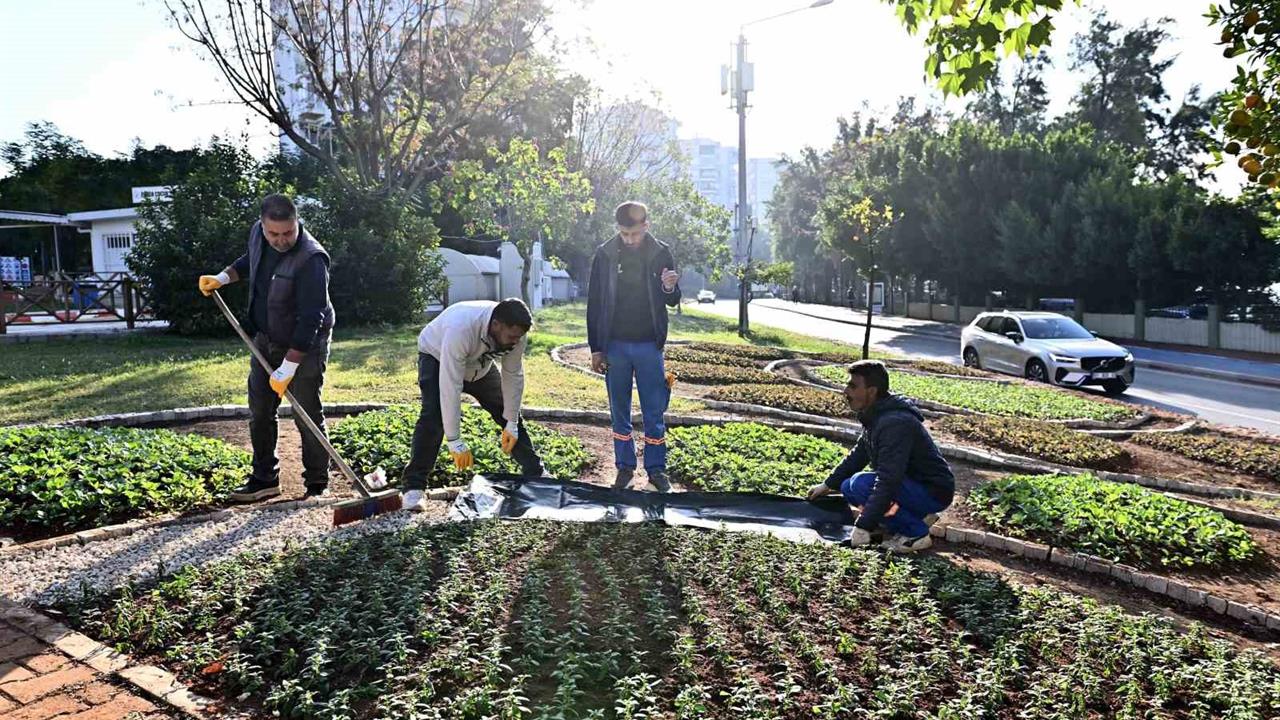 Antalya Muratpaşa'da Trafik Parkı'nda Mevsimlik Çiçekler Dikildi