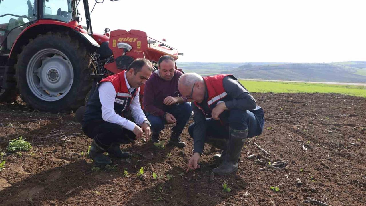 Edirne Sarayakpınar'da Tarımsal Verimliliği Artırmaya Yönelik Proje Devam Ediyor