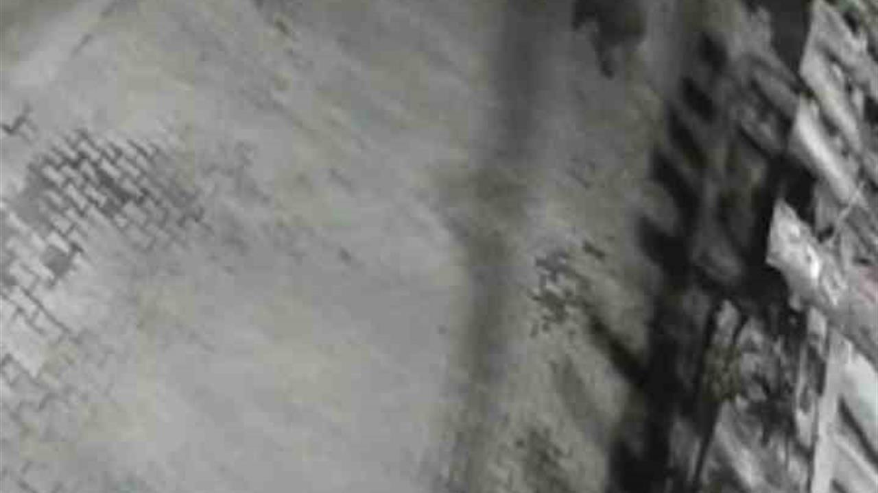 Bartın Amasra'da Ormanlık Alandan Yerleşim Alanına İnen Ayılar Görüntülendi