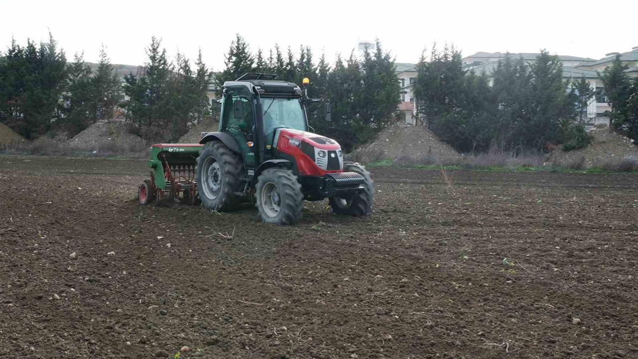 Büyükçekmece'de Atıl Arazilerde Buğday Ekimine Başlandı