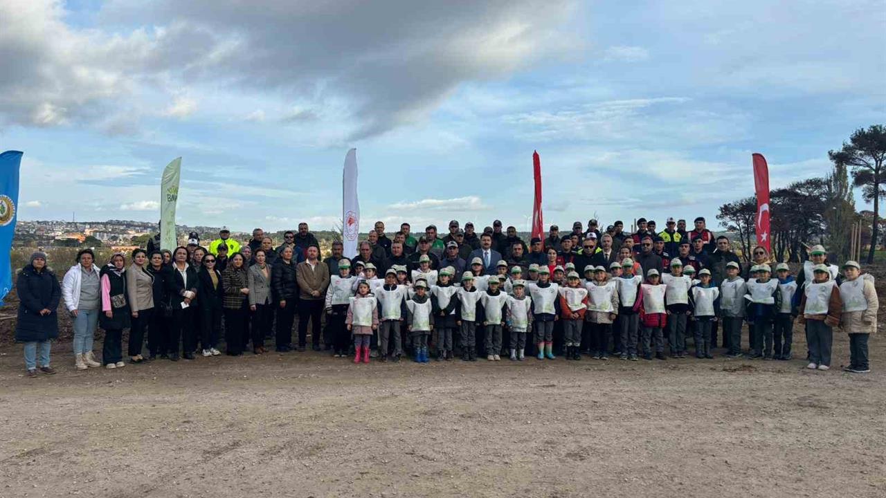Çanakkale Ayvacık’ta 1500 Fıstık Çamı Fidanı Toprakla Buluşturuldu
