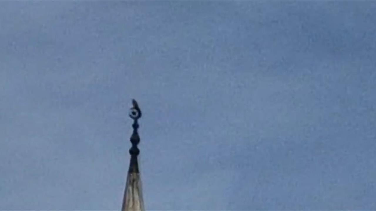 Bartın Merkez'de Gökdoğan Kuşu Cami Minaresinde Görüntülendi