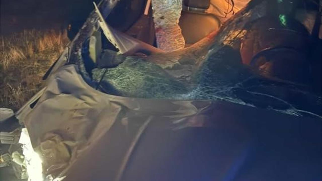 Muş Kızılağaç Yolunda Hafif Ticari Araç Ata Çarptı, 2 Yaralı