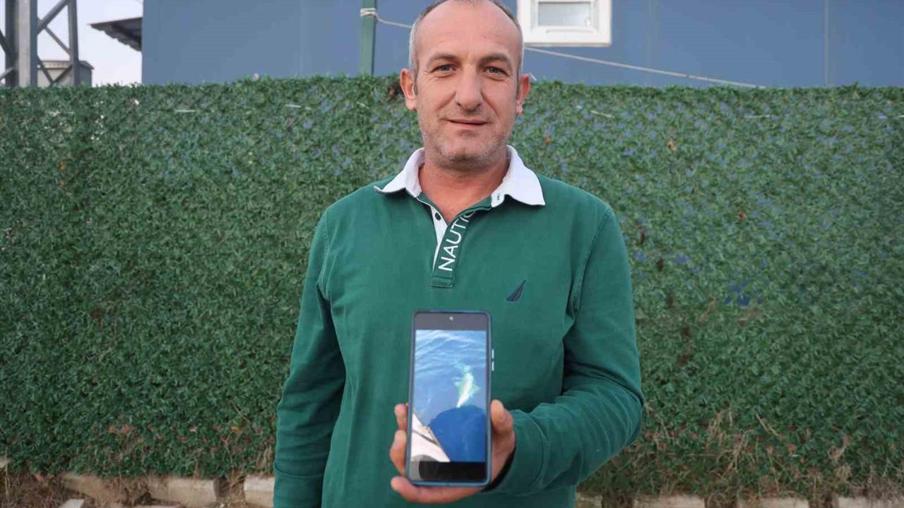 Hatay Yayladağı'nda Amatör Balıkçılar, Köpek Balığıyla 1 Saat Mücadele Etti