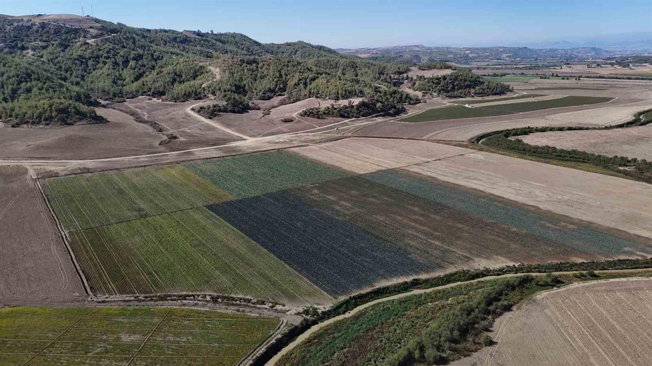 Adana Yüreğir'de Seyhan Barajı Çevresinde Tarım Üretimi Artıyor