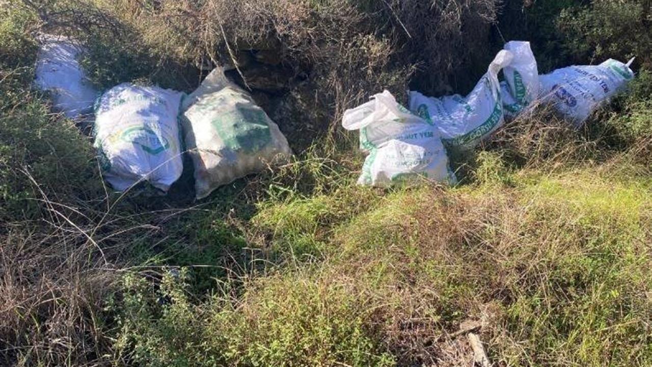 Aydın Çine'de Çalınan 10 Çuval Çam Fıstığı Otların Arasında Bulundu