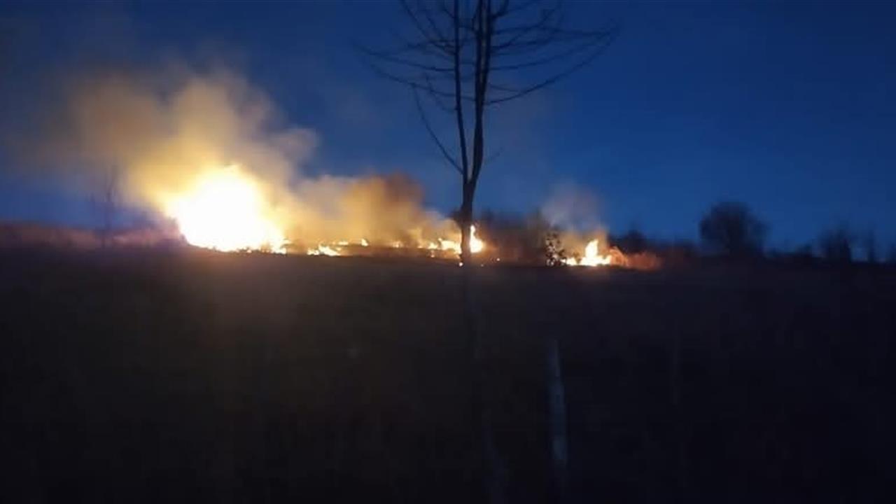 Ordu Kumru'da Fındık Bahçesindeki Yangın, Ekipler Tarafından Söndürüldü