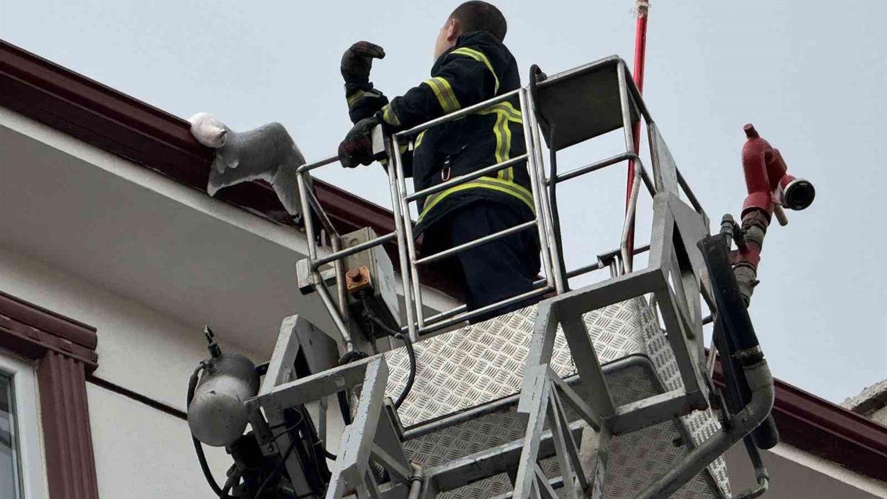 Edirne Merkez'de Apartman Çatısında Sıkışan Martı, İtfaiye Ekipleri Tarafından Kurtarıldı