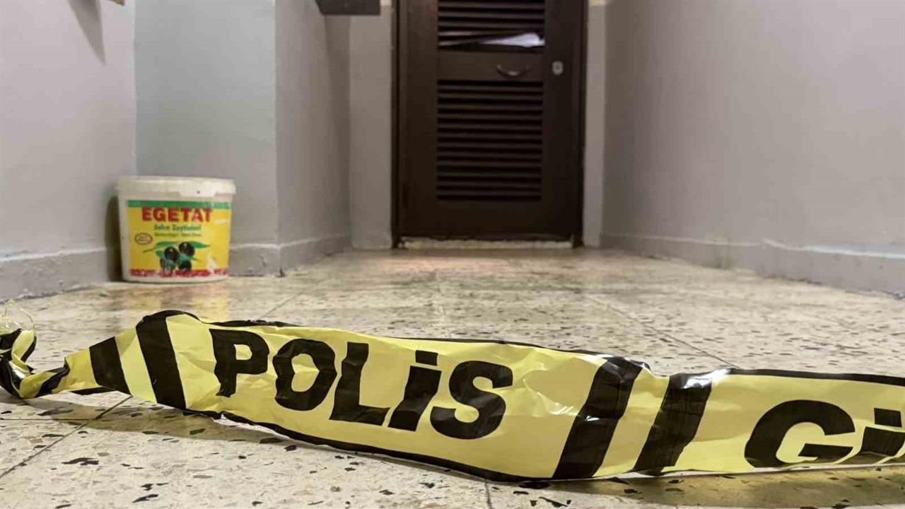 Diyarbakır Bağlar'da Bir Şahıs, Anne ve Ağabeyini Öldürdü