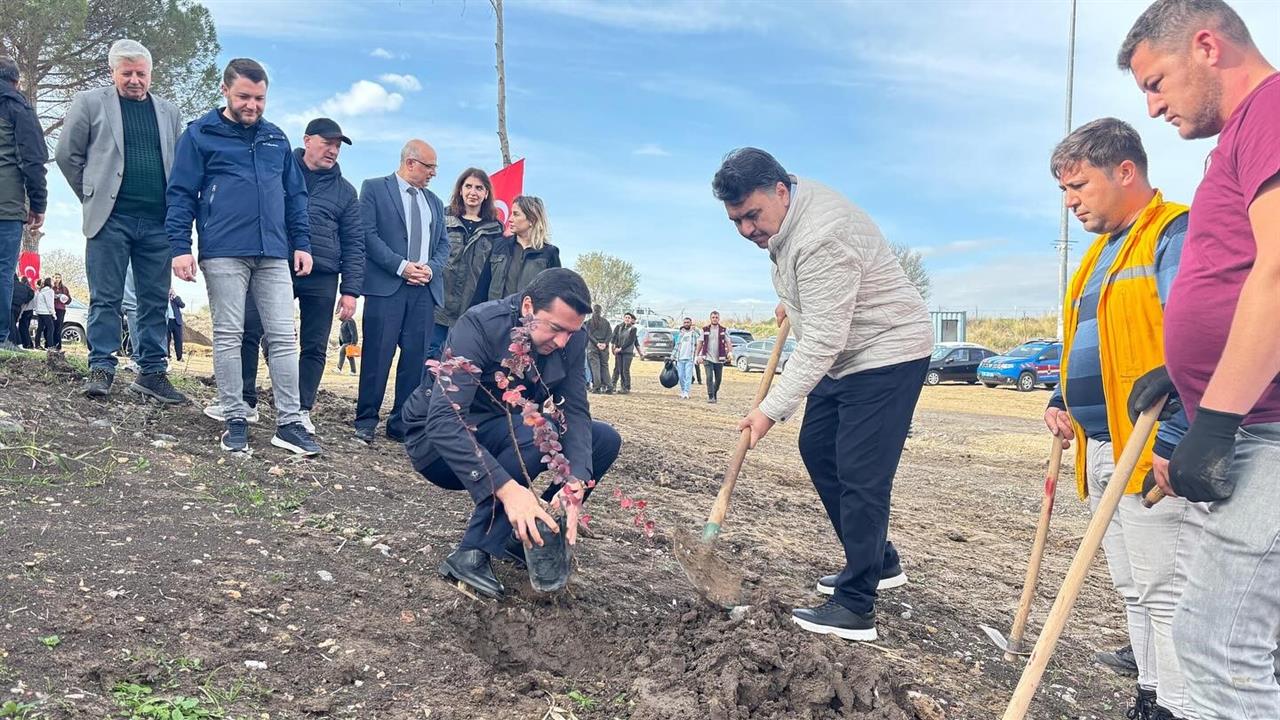 Havran'da 11 Kasım Ağaçlandırma Günü Etkinliği Kaymakamın Katılımıyla Yapıldı
