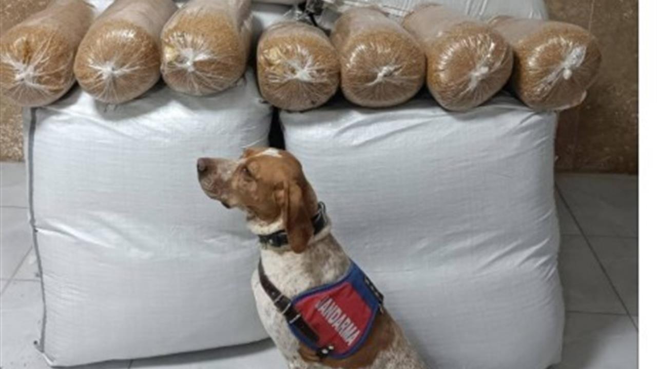 Kırşehir Mucur'da Yol Kontrolünde 400 Kilogram Kaçak Tütün Ele Geçirildi