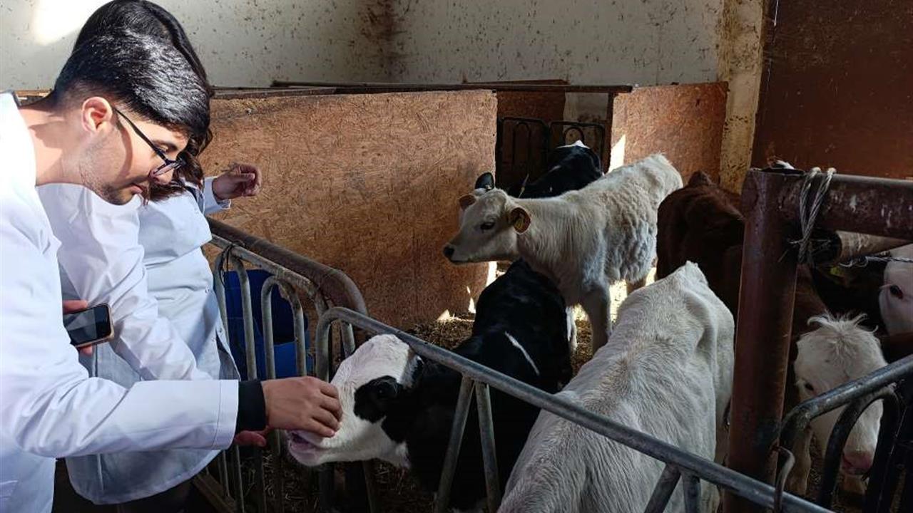 Ardahan Üniversitesi Öğrencileri Van Yüzüncü Yıl Üniversitesi'nde Eğitimlere Katıldı