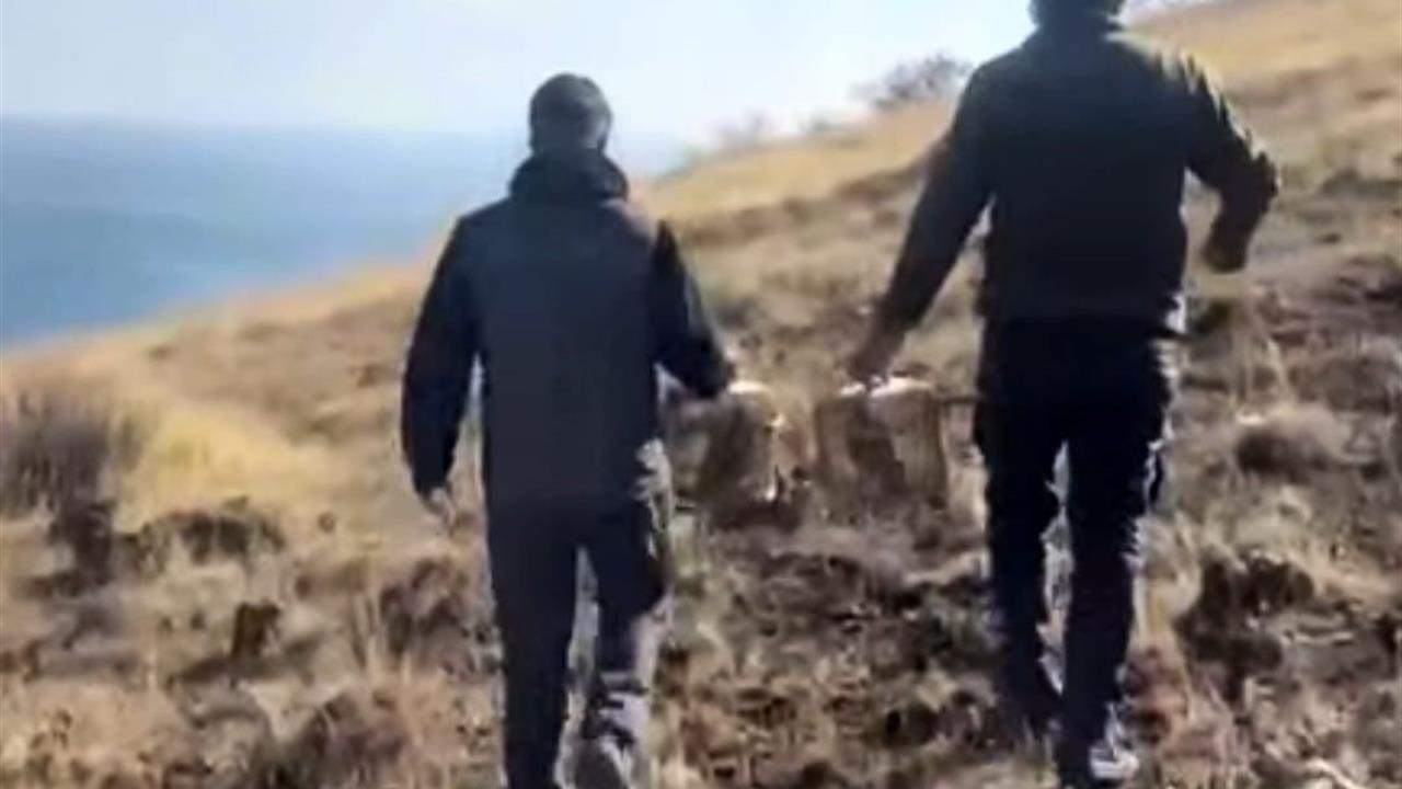 Bitlis'te Rehabilite Edilen Keklikler Doğayla Buluştu