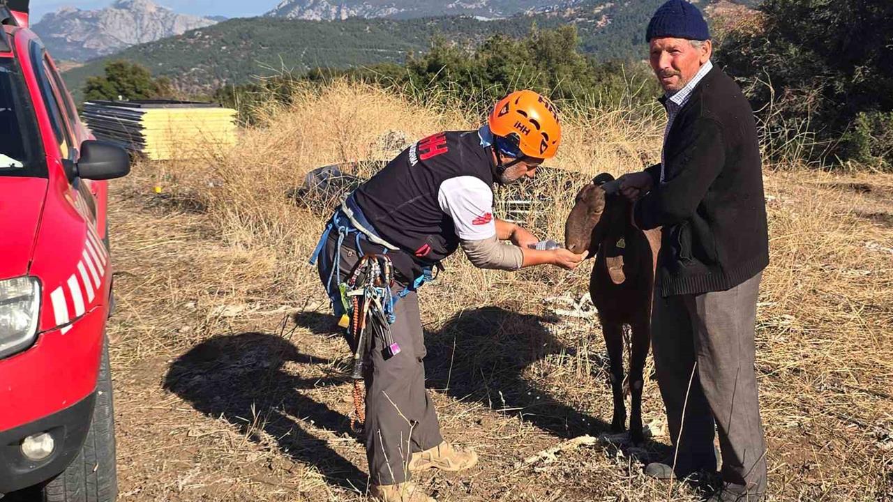 Antalya Korkuteli'nde Kaya Oyuğuna Düşen Keçi 3 Gün Sonra Kurtarıldı
