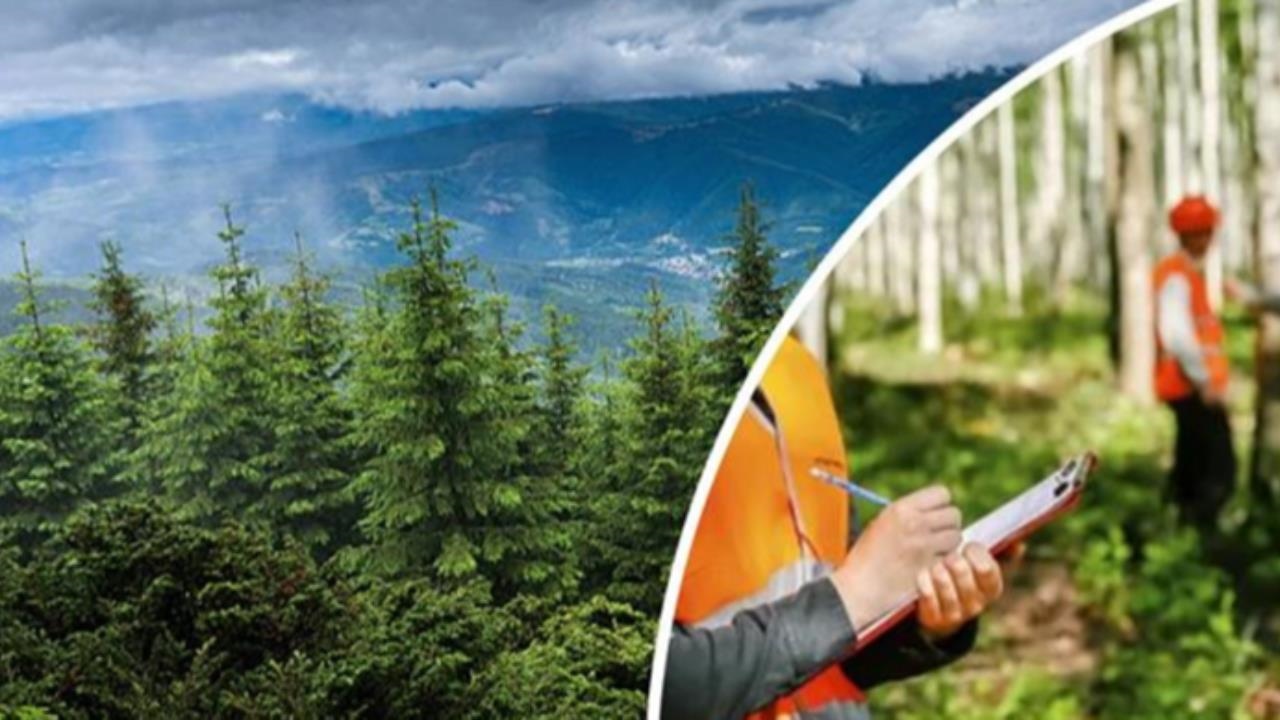 Orman Genel Müdürlüğü 496 Sözleşmeli Personel Alacak