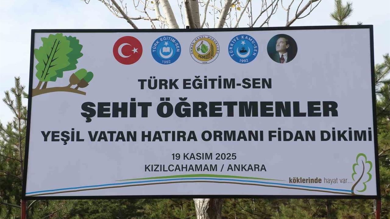 Ankara'da Türk Eğitim-Sen Genel Başkanı Geylan, Orman Yangınlarına Dikkat Çekti