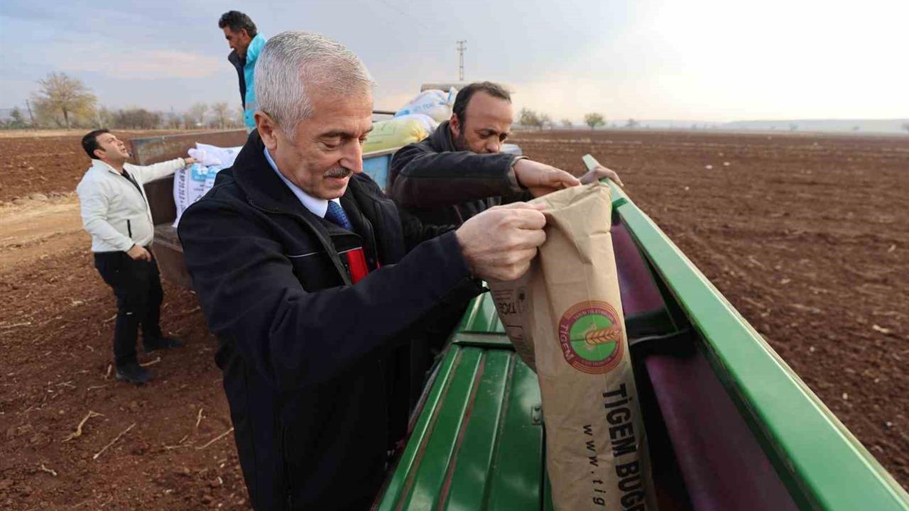 Gaziantep Şahinbey'de Çiftçilere Buğday Tohumu ve Gübre Dağıtıldı