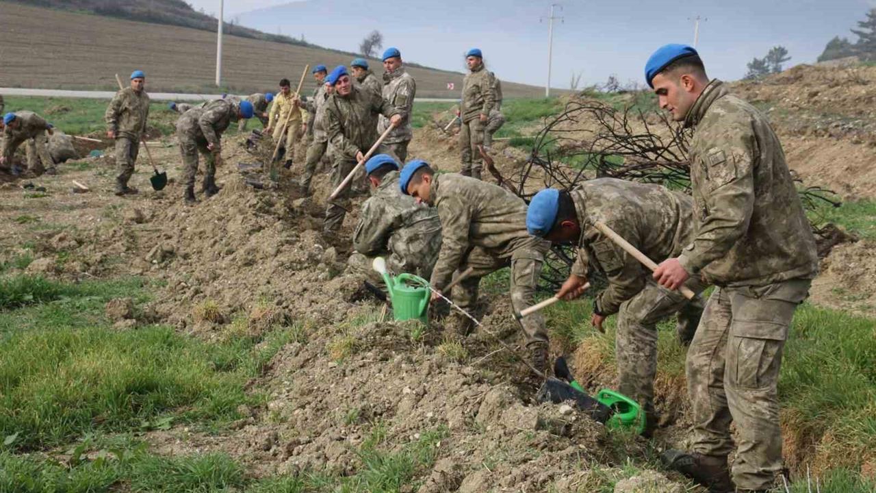 Bolu Mudurnu'da Komandolar Orman Yangını Sonrası Fidan Dikimi Gerçekleştirdi