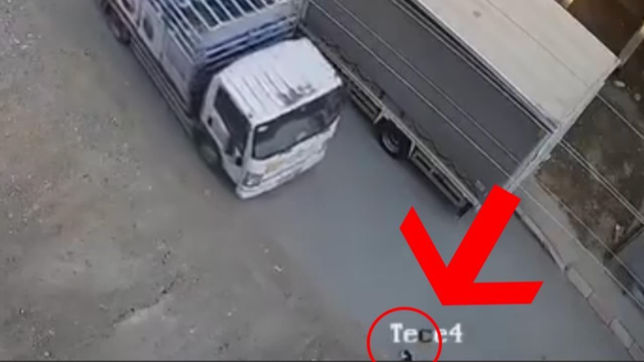 Tarsus Yeşilyurt Mahallesi'nde Tüp Kamyoneti Kediyi Ezdi!