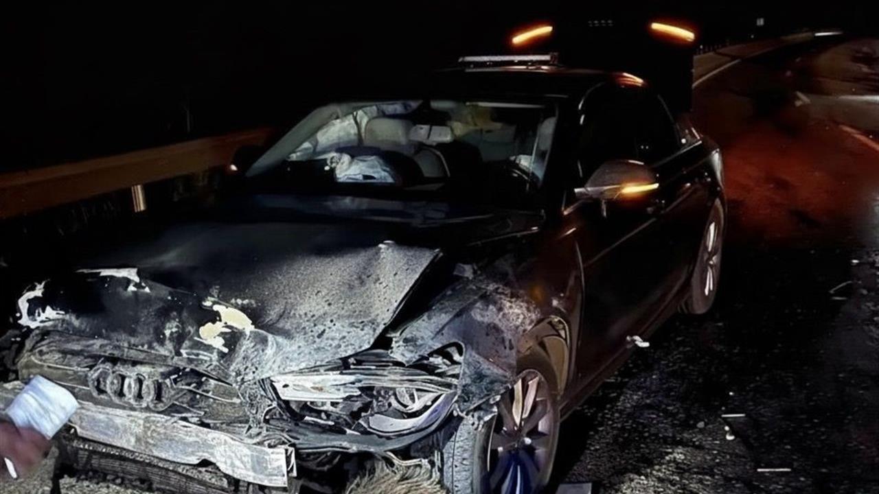 Sinop Belediye Başkanı Metin Gürbüz'ün Makam Aracı, Kastamonu Hanönü'nde Domuz Sürüsüne Çarptı