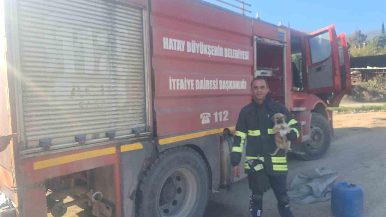 Hatay Kırıkhan'da 6 Metre Derin Çukuru Aşan Yavru Köpek Kurtarıldı