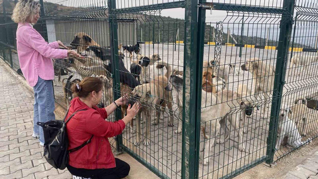Manisa Alaşehir'de 30 Dönümlük Doğal Yaşam Alanı Hizmete Girdi