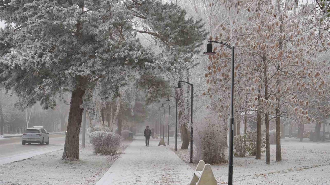Erzurum'da Güne Sis ve Kırağı ile Başlayan Soğuk Hava Etkili Oluyor