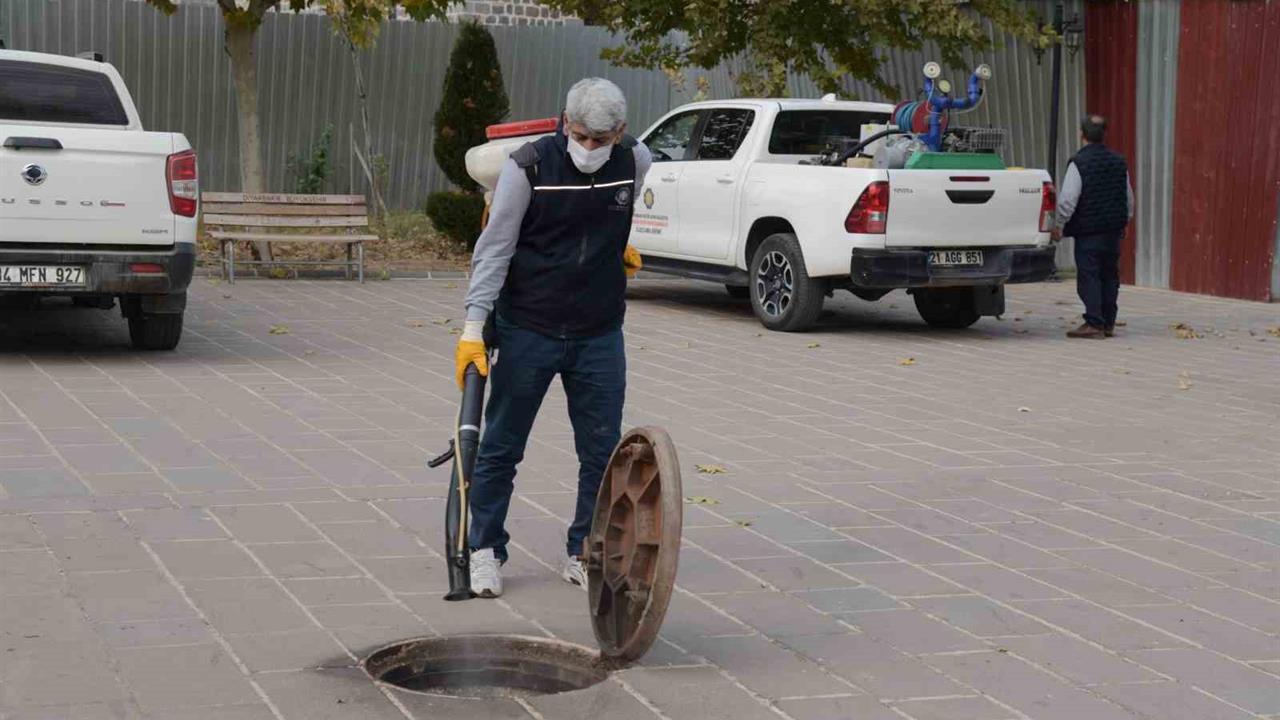 Diyarbakır'da Kışlak İlaçlama Çalışmaları Başlayarak, Haşere Popülasyonu Kontrol Altına Alınacak
