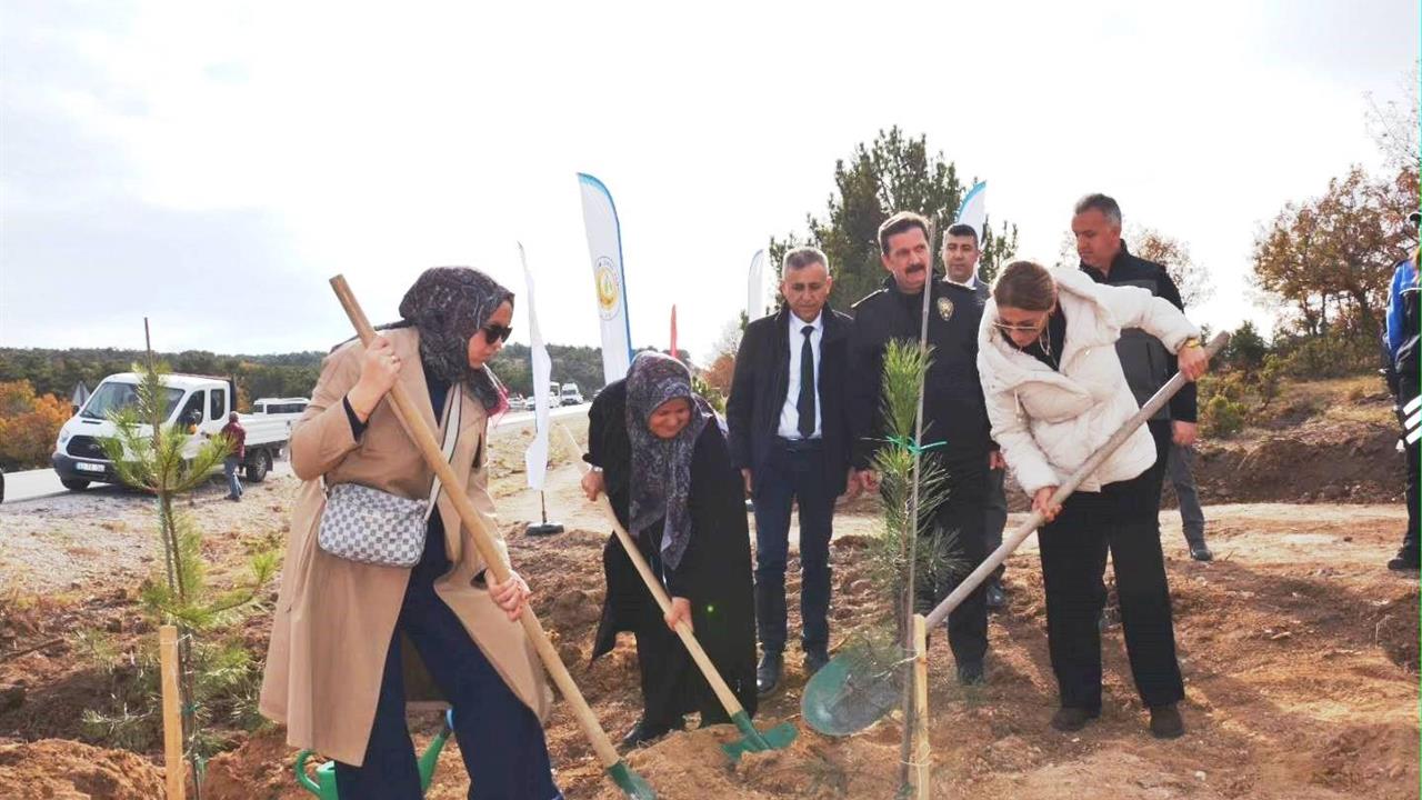 Kütahya Merkez'de Şehitler İçin 350 Fidan Toprakla Buluştu