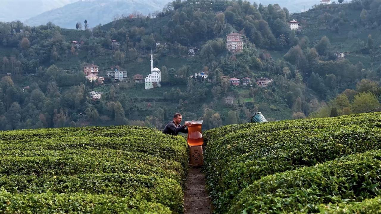 Rize'de Dev Çay Bardağı ile Çekilen Video İzleyicileri Hayrete Düşürdü