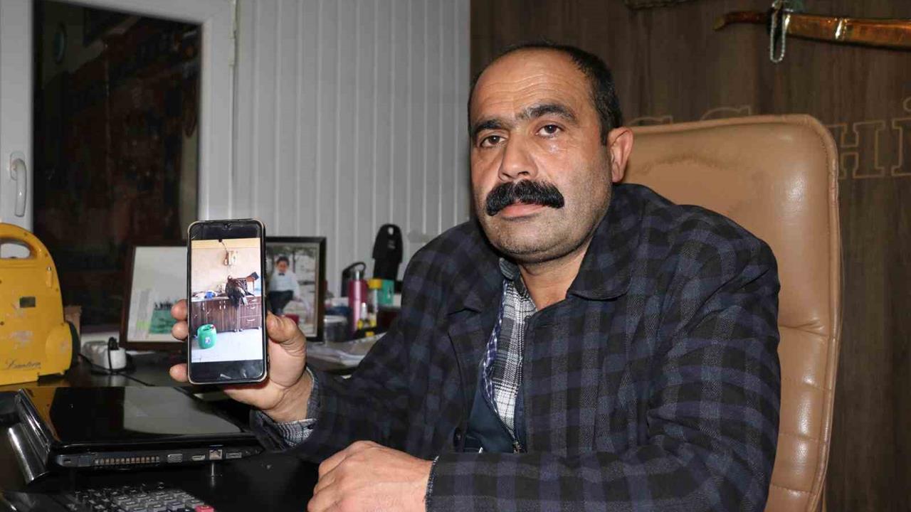 Sivas'ta Yaralı Kartalın Kurtarılması Anları Sosyal Medyada Paylaşıldı