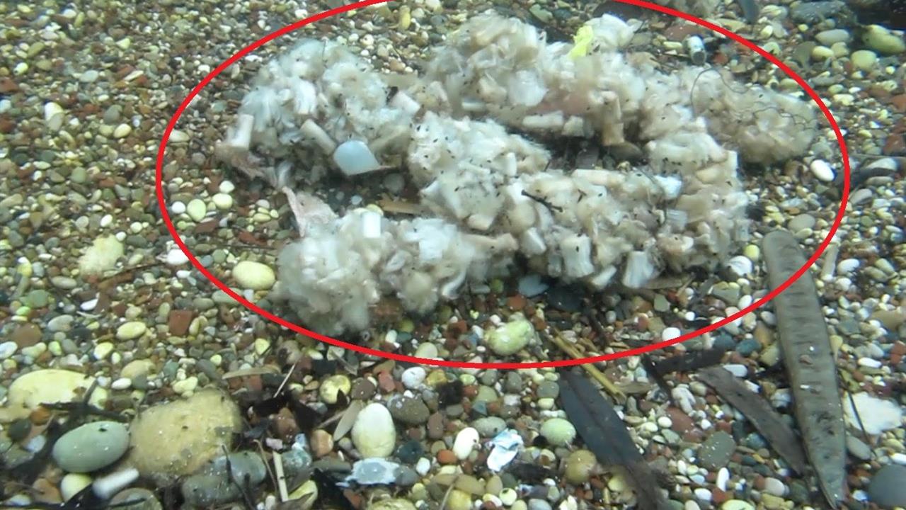 Antalya Konyaaltı'nda Deniz Kirliliği Ve Sigara İzmaritleri Üzerine Bilgilendirme Yapıldı