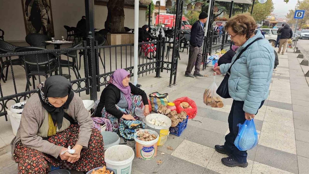 Balıkesir Sındırgı'da Deprem Sonrası Ekonomik Faaliyetler Devam Ediyor