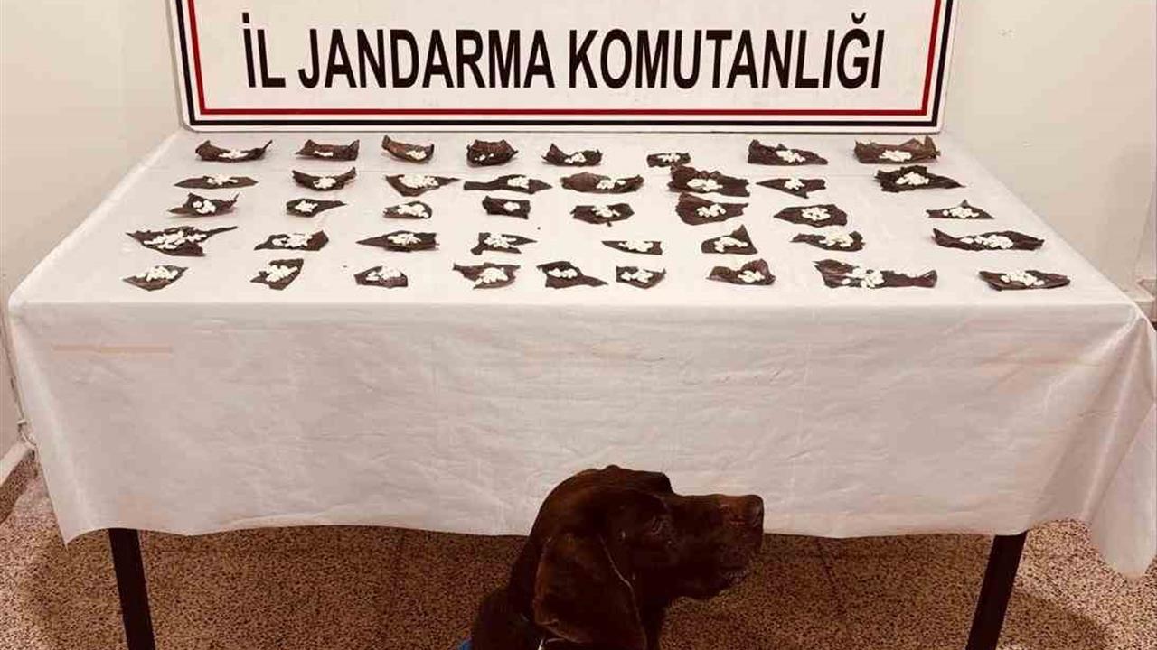 Van Başkale'de Yapılan Operasyonda 171 Gram Bonzai Ele Geçirildi