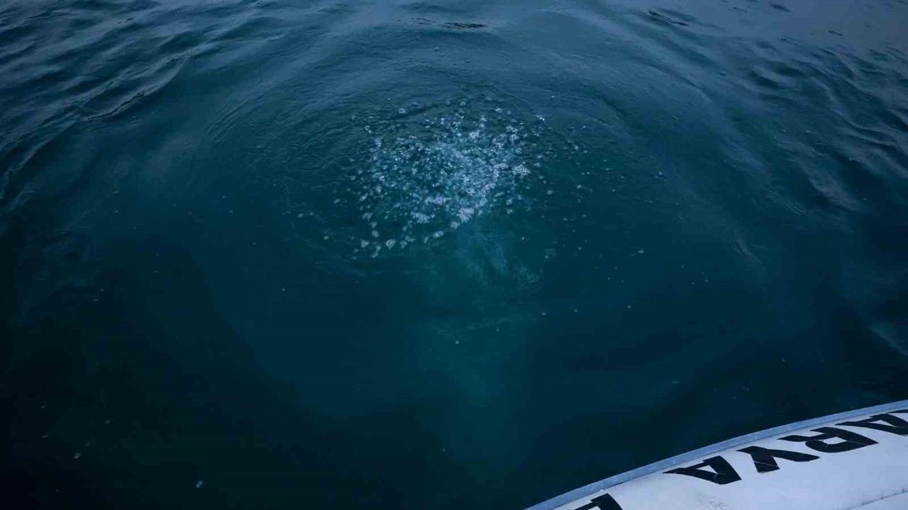 Sapanca Gölü'nde Kabarcık Oluşumu Nedeniyle Vatandaşlar Tedirgin