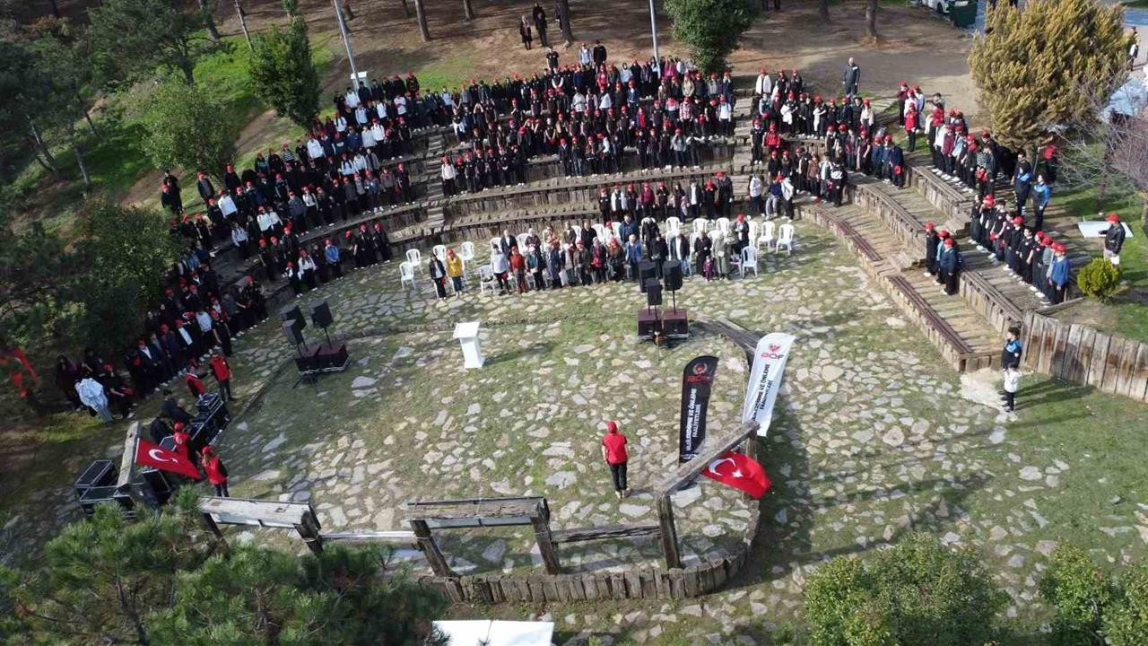Sultangazi'de Şehir Ormanı'nda Yangında Zarar Gören Bölgede Ağaç Dikildi