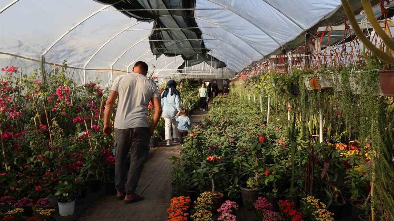 Adana'da Öğretmenler Günü nedeniyle saksı çiçeklerine talep arttı.