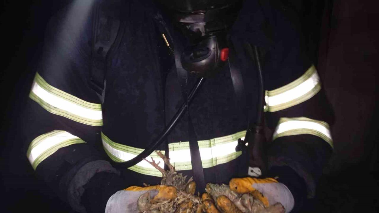 Balıkesir Savaştepe'de Tavuk Çiftliğinde Çıkan Yangında 5 Bin Piliç Telef Oldu