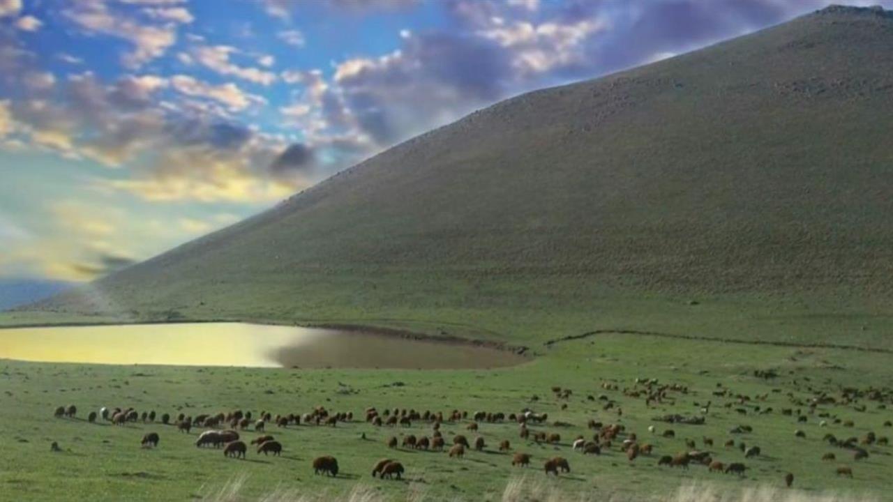 Iğdır Nişankaya'da Meranın Usulsüz Kiralanması Nedeniyle Soruşturma Başlatıldı