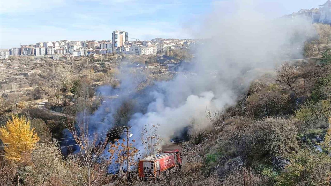 Ankara Mamak'ta Ormanlık Alanda Yangın Çıktı, İtfaiye Müdahale Etti