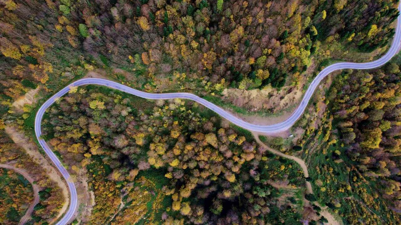 Sakarya Hendek ile Kocaali Arasında Yer Alan Çam Dağı'ndaki Sonbahar Manzarası Göz Kamaştırıyor