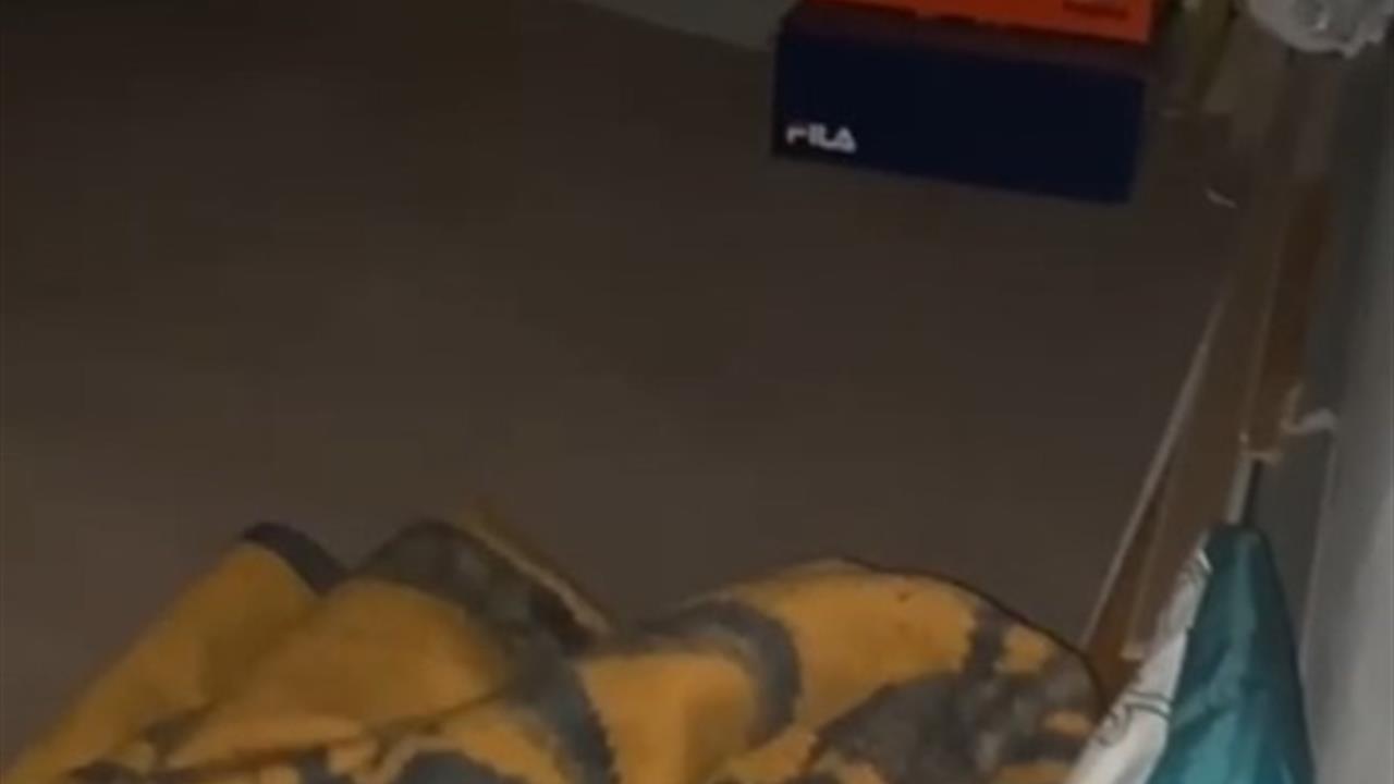 Van Erciş'te 12,5 Yıl Hapis Cezası Olan Müdür Gizli Bölmede Bulundu