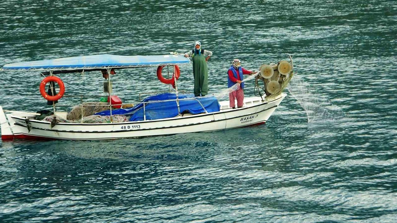 Muğla'da Akdeniz Koruma Derneği'nden Dünya Balıkçılık Günü Mesajı