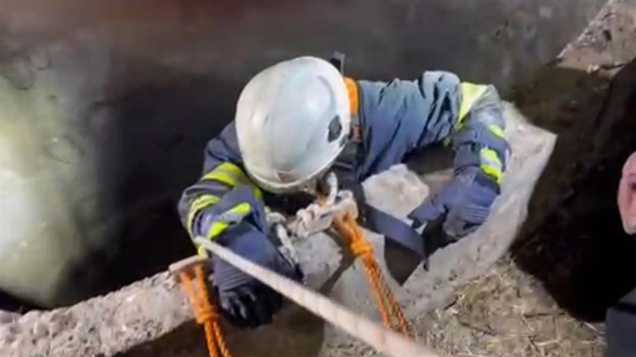 Batman Güneşli Köyü'nde Su Kuyusuna Düşen Çakal İtfaiye Ekipleri Tarafından Kurtarıldı